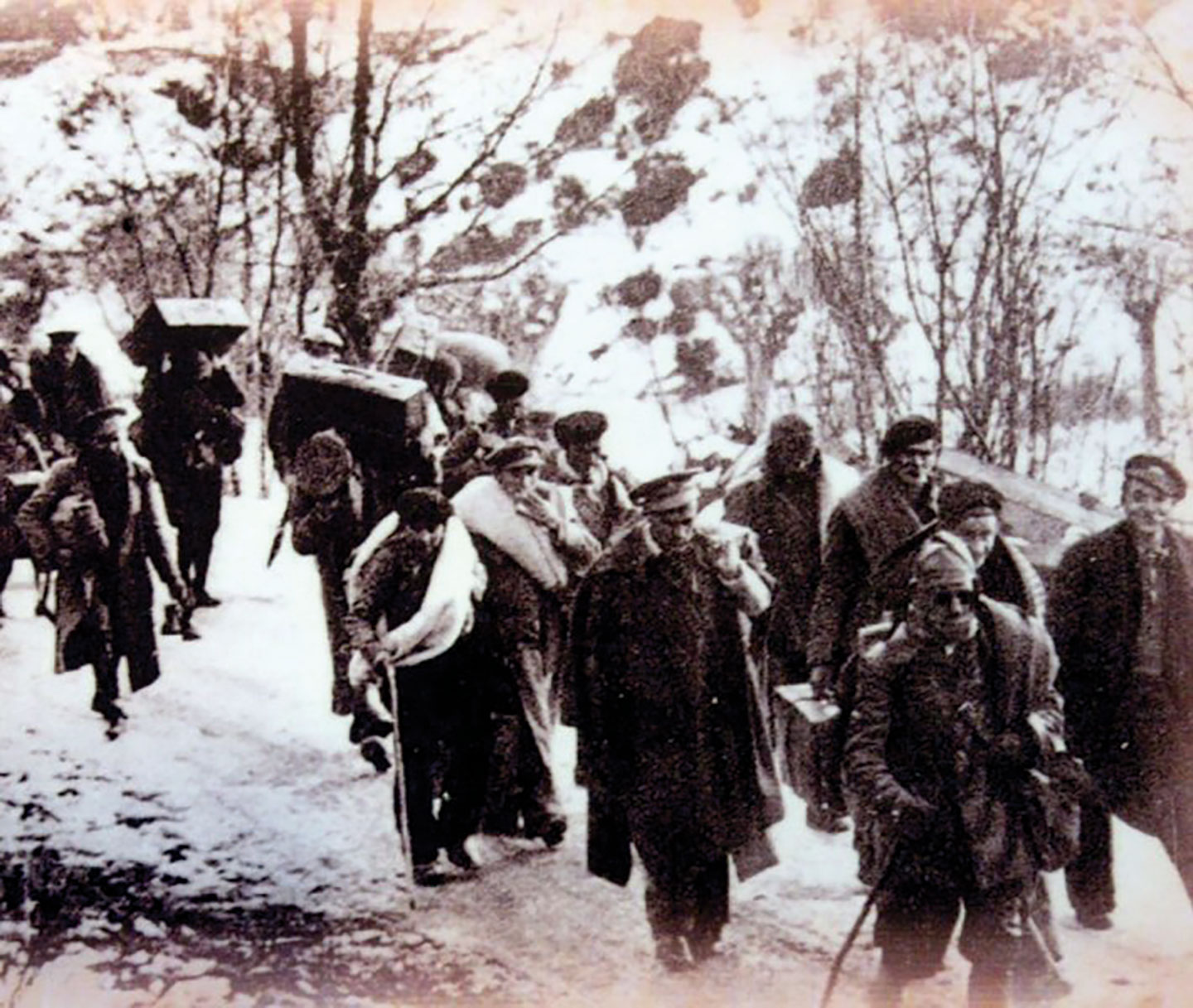 Exil Curieux Voyageurs