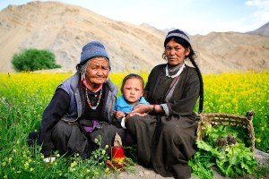 Paysvisages du Ladakh