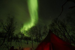 Terminus-Boreal