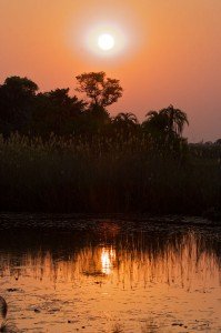 Couché de soleil dans l'Okavango
