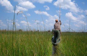 Delta Okavango