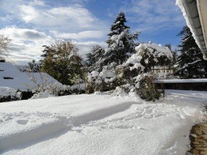 Derrien (5)