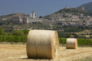 Chemin-d-assises-(2)