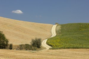 Chemin d'Assises