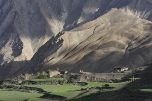 Lhamo