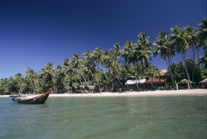 plage 342