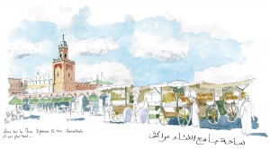 BICHON_MAROC-03