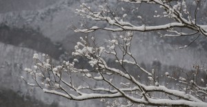 Japon-(3)