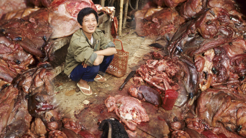 Etalage de viande au Vietnam